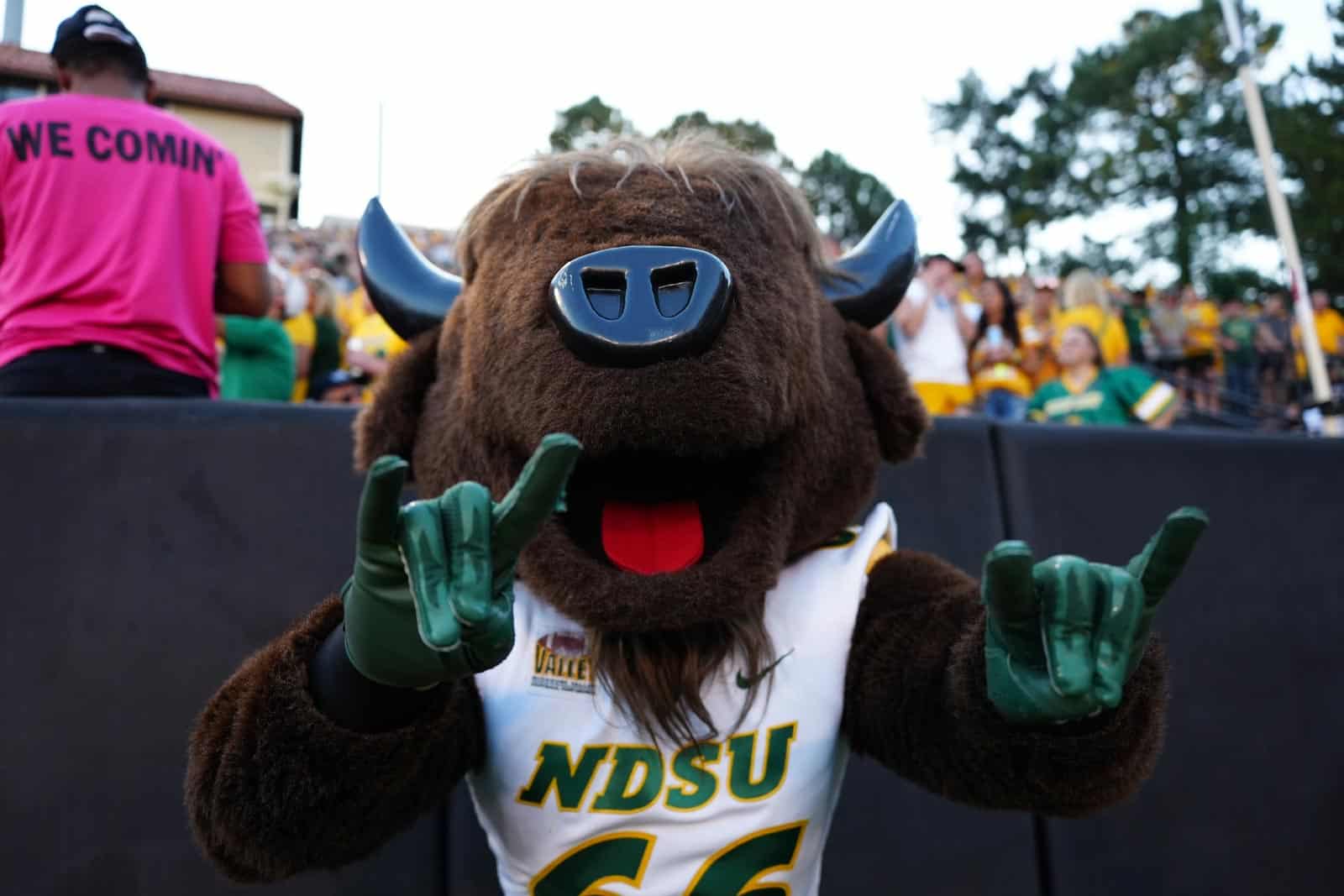 North Dakota State Bison
