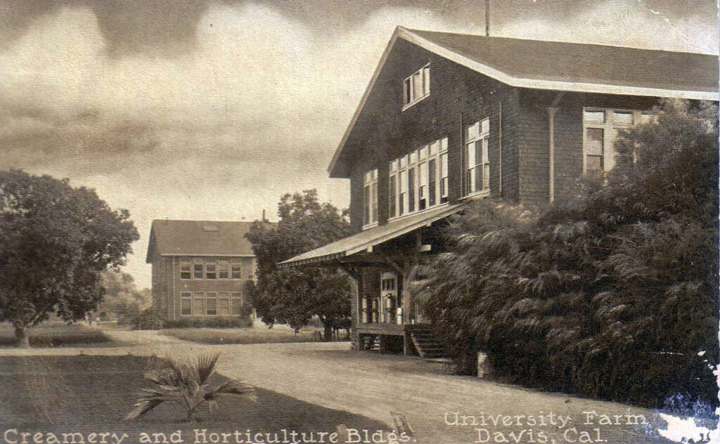 an historic postcard in sepia tone featuring two buildings on the University of California farm in Davis, Calif.