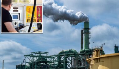 Dems who backed California climate plan now beg regulators to rethink rule that could spike gas prices