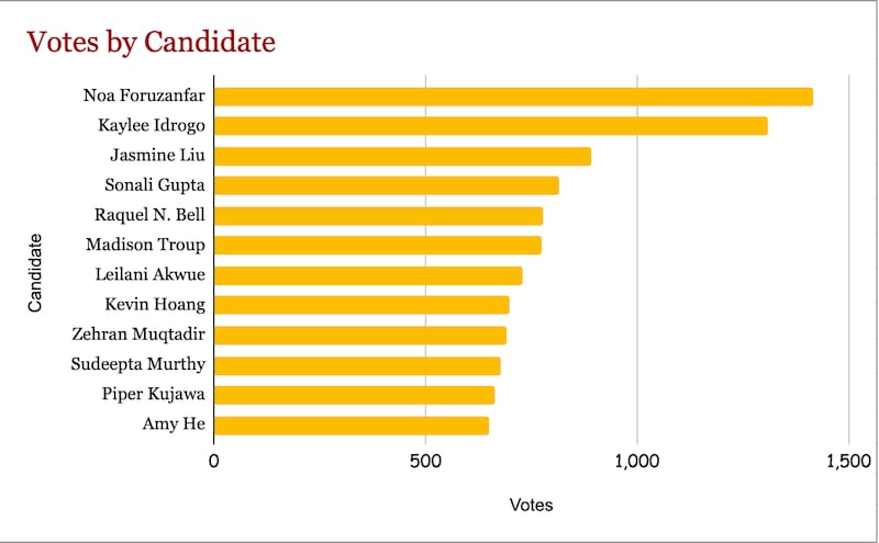 DESCRIBE THE IMAGE FOR ACCESSIBILITY, EXAMPLE: Photo of a chef putting red sauce onto an omelette.