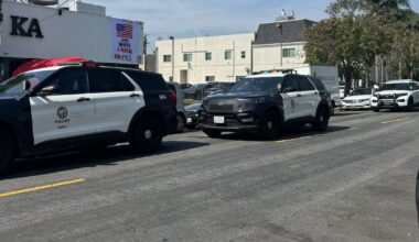 LAPD arrests suspect in stabbing near USC campus – Annenberg Media