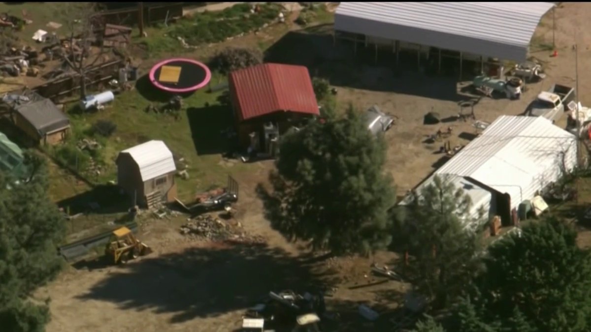 Hundreds of cats and dogs rescued in Lake Hughes are up for adoption today – NBC Los Angeles