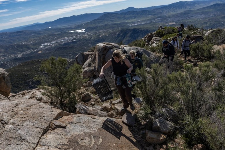 Volunteers walk along the trail to drop humanitarian supplies in the mountains east of San Diego.