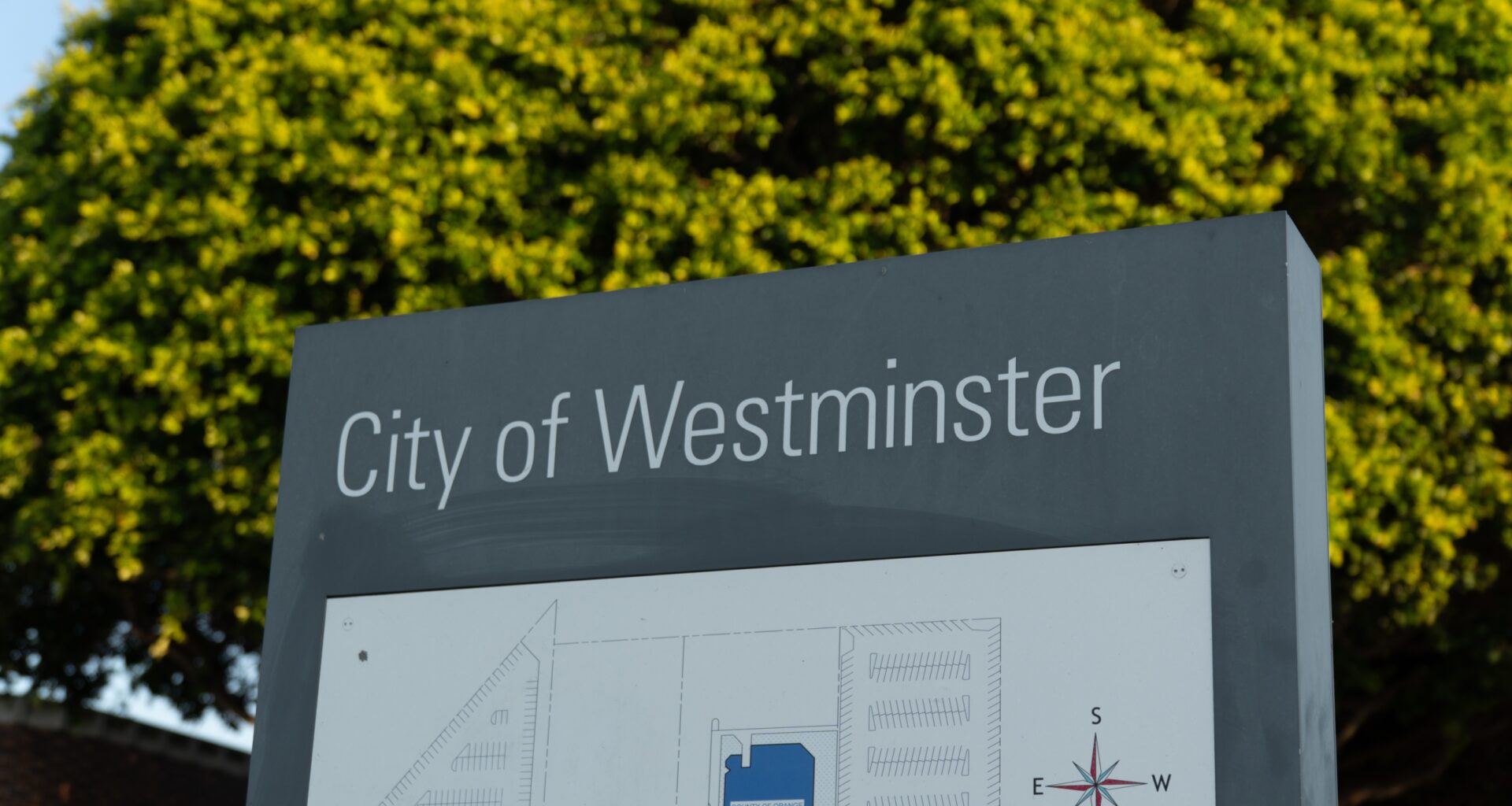 What’s the Future of Westminster's Rose Center Theater?