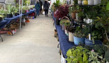 San Jose Garden Club’s spring plant sale set for April 24-25 – The Mercury News