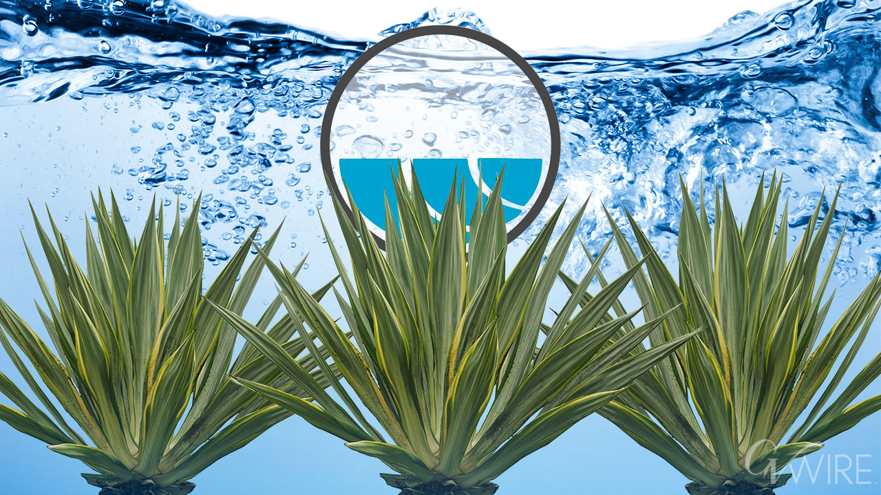 Agave and Fallowing: Water Uncertainty Changes Westlands Farming Profile