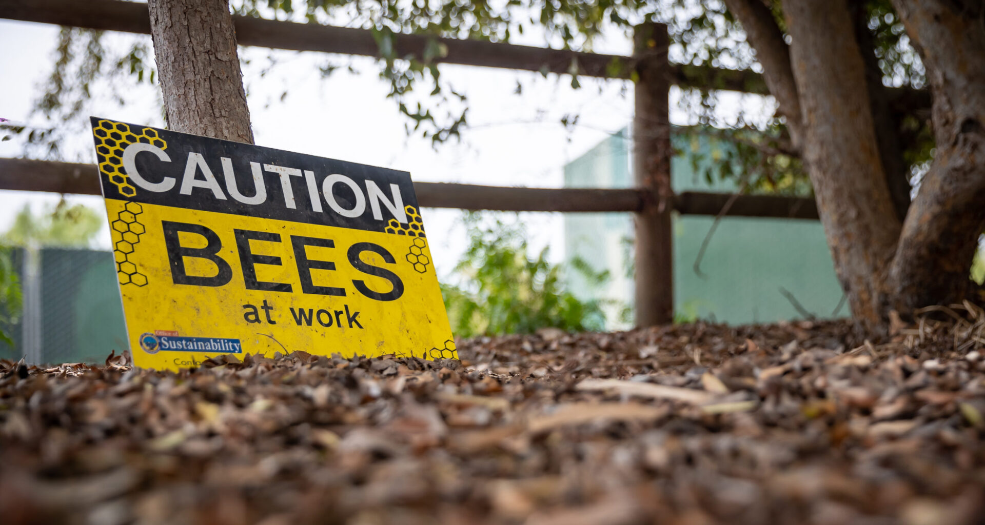 Second round of Love Your Block grant applications open through March 31