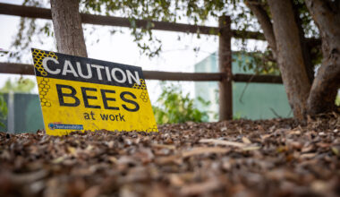 Second round of Love Your Block grant applications open through March 31