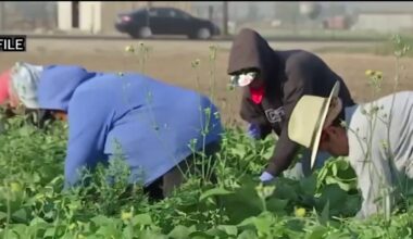 Women farmworkers raise concerns about sexual harassment and assault on the job – NBC Los Angeles