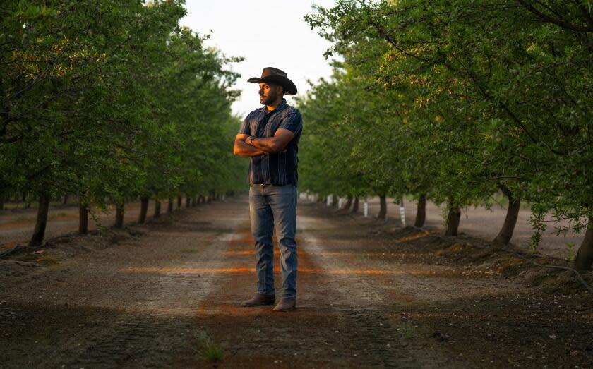 Bikram Hundal, Vice President of Operations at Sequoia Nut Company and Custom Almonds LLC stands in an almond orchard in Tulare, CA. on Thursday, March 26, 2026. (Tomas Ovalle/For The Times)