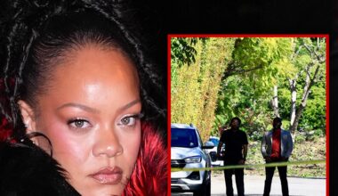 Rihanna's Los Angeles Home Targeted in Shooting, Suspect in Custody