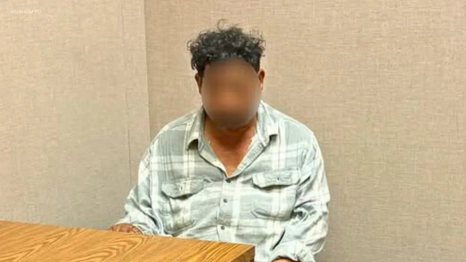 Attempted sex assault suspect Jose Gudino is seen following his arrest