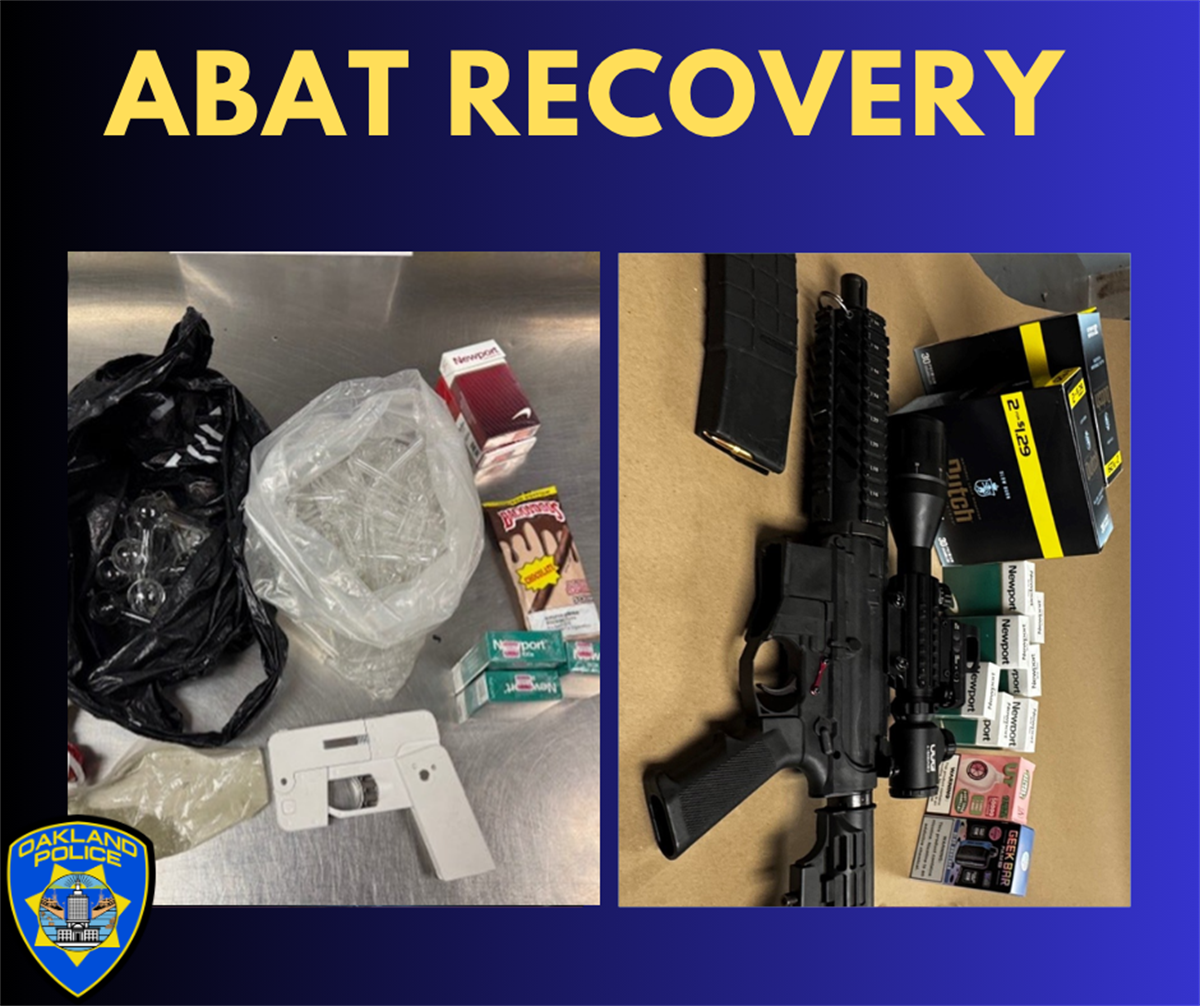 Firearms Recovered During ABAT Inspections