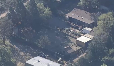 300 animals seized in California in a large scale rescue