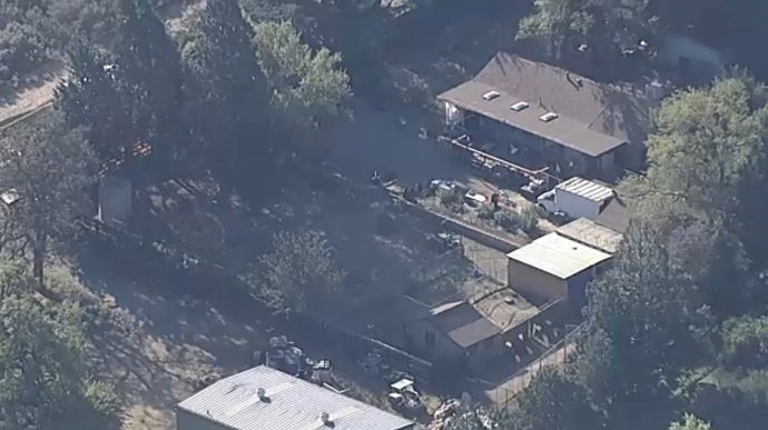 300 animals seized in California in a large scale rescue