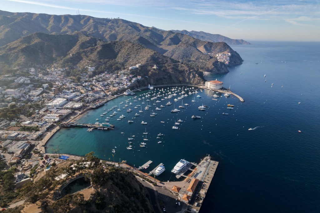 Aerial view of Catalina Island with the city of Avalon and its harbor filled with boats.