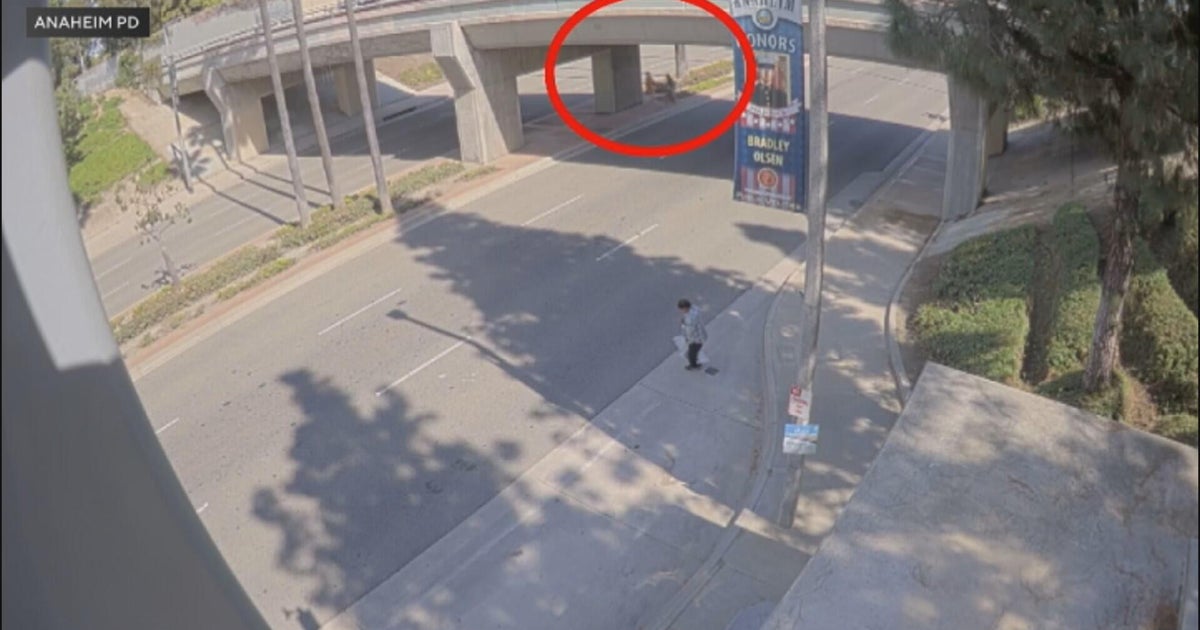 Anaheim police arrest man accused of trying to kidnap mother and daughter