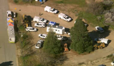 Estimated 700 dogs and cats rescued at LA County property – NBC Los Angeles