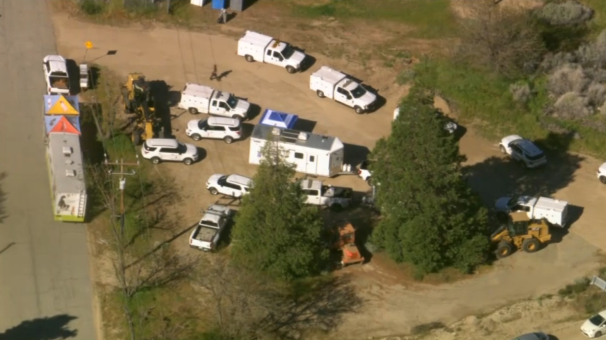 Estimated 700 dogs and cats rescued at LA County property – NBC Los Angeles