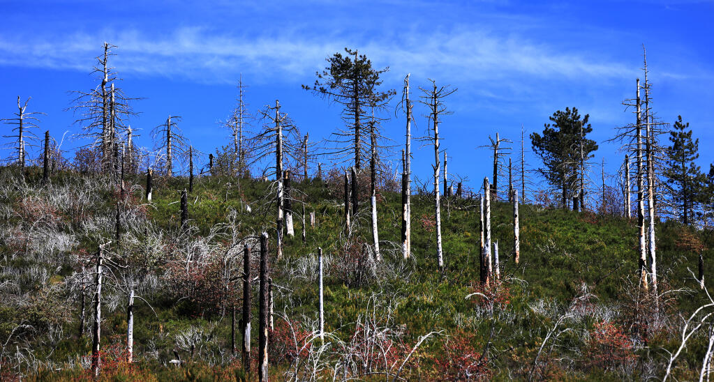 Burned by multiple large fires, the Fork in 1996 and...