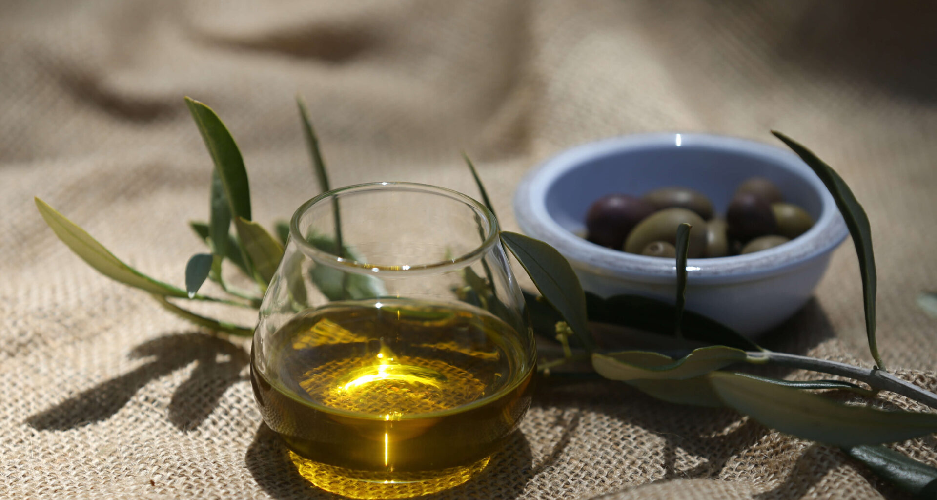 Sonoma Olive Oil Producers Win California State Fair Awards