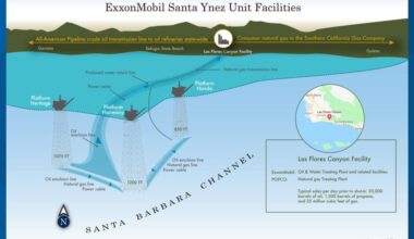 Houston-based company restarts oil transport from offshore California after federal order