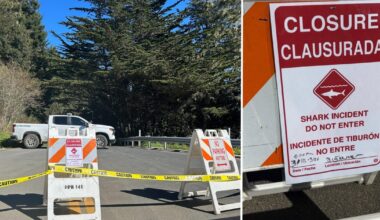 Shark attack reported off Northern California beach; surfer injured, beach temporarily closed