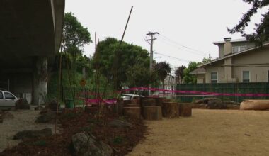 Neighbors complete work on blooming underpass garden in Oakland
