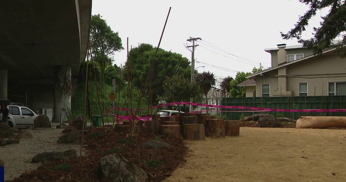Neighbors complete work on blooming underpass garden in Oakland