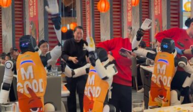 'Unstoppable' dancing robot causes chaos at California restaurant