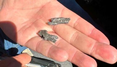 Military report says ‘one in a million’ live fire malfunction rained shrapnel on California highway