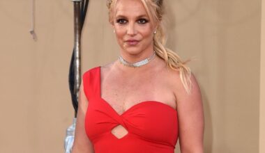 Britney Spears arrested and released, California sheriff's records show, though charge is not clear :: WRAL.com