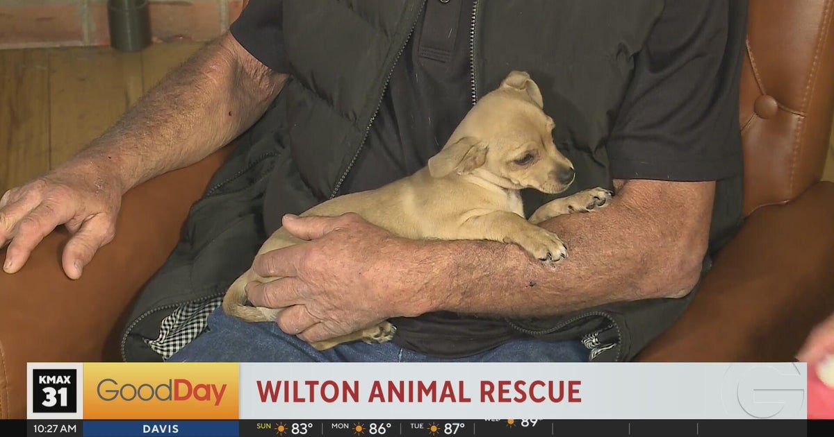 Attend the Wilton Crab Feed and help support the Wilton Animal Rescue!