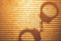 Gilroy woman accused of neglect leading to homicide | Gilroy Dispatch