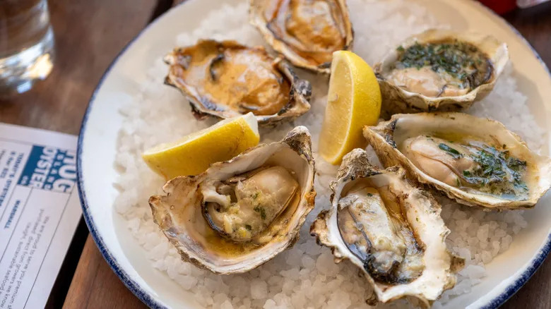 fresh oysters at hog island oyster