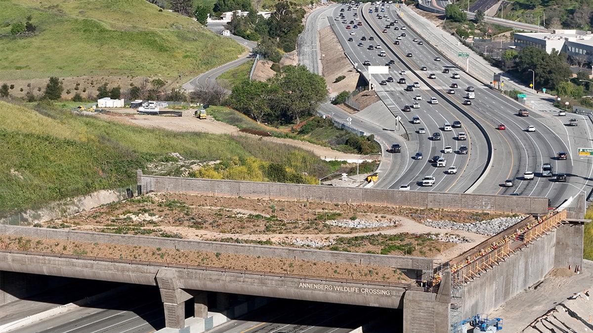 A photo of the unfinished crossing walking bridge in Agoura Hills, California
