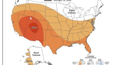 Angela Woodall's profile picture