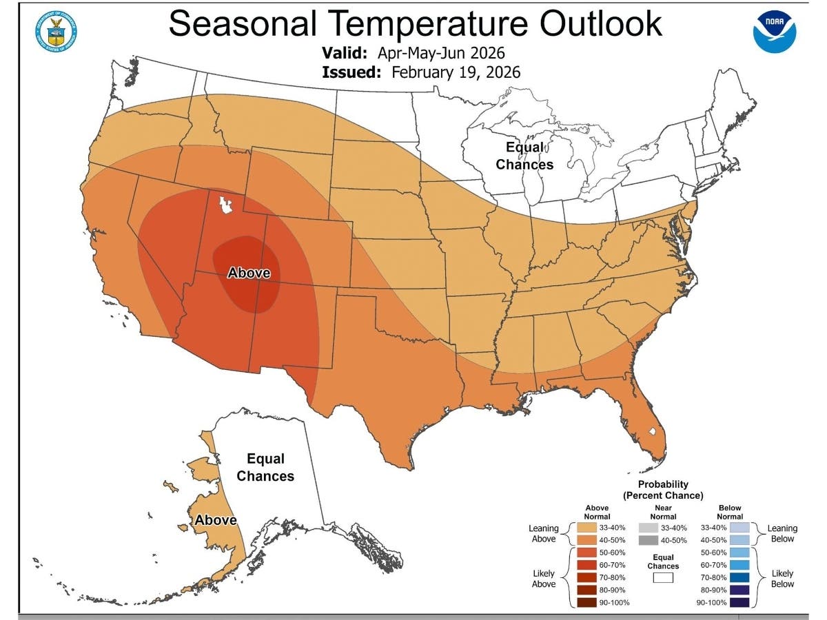 Angela Woodall's profile picture