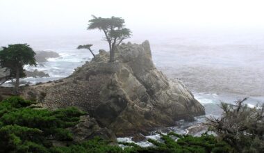 Discover the 17-Mile Drive, a scenic California coastal road trip