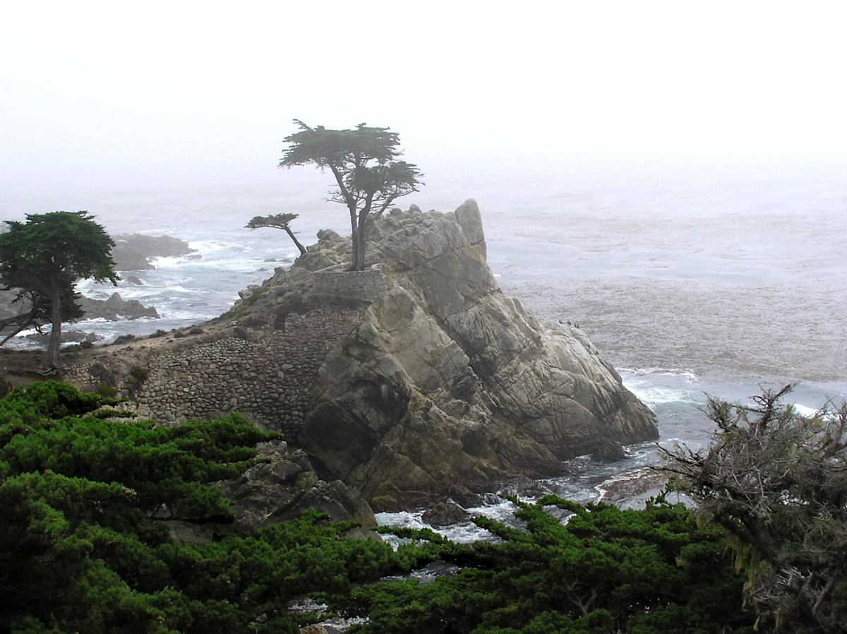Discover the 17-Mile Drive, a scenic California coastal road trip
