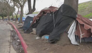 Sacramento County Supervisors question legality of proposed housing authority overhaul