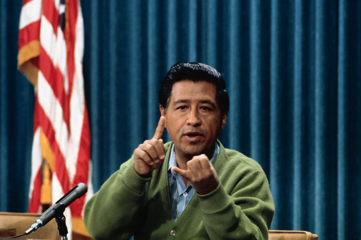 Democratic leaders face backlash over Chávez allegations