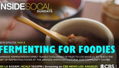 Inside SoCal | Fermenting for Foodies