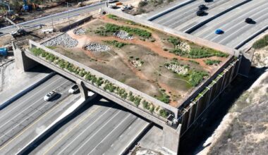 California's unfinished wildlife 'bridge to nowhere'