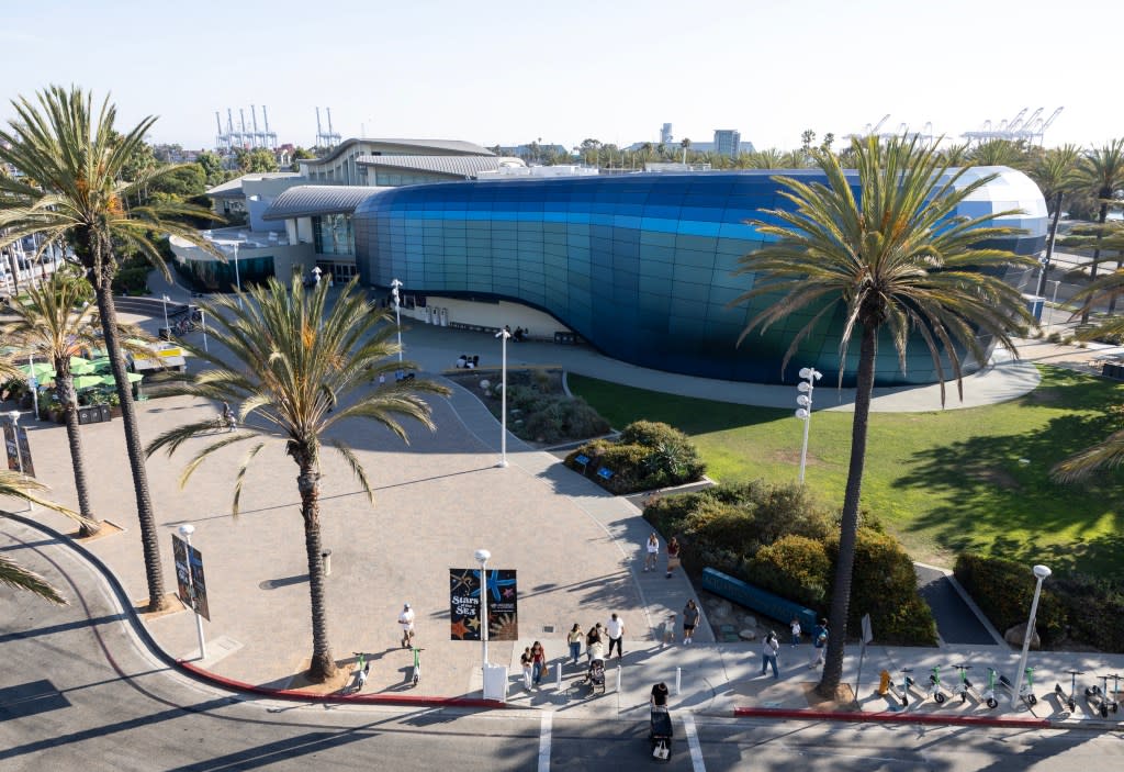 ‘Ghost’ herself became a standout resident at the Long Beach aquarium, known for her size, intelligence and curiosity. Los Angeles Times via Getty Images