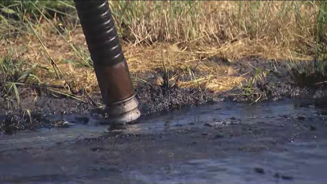 San Diego County reopens Dog Beach in Ocean Beach following sewage discharge