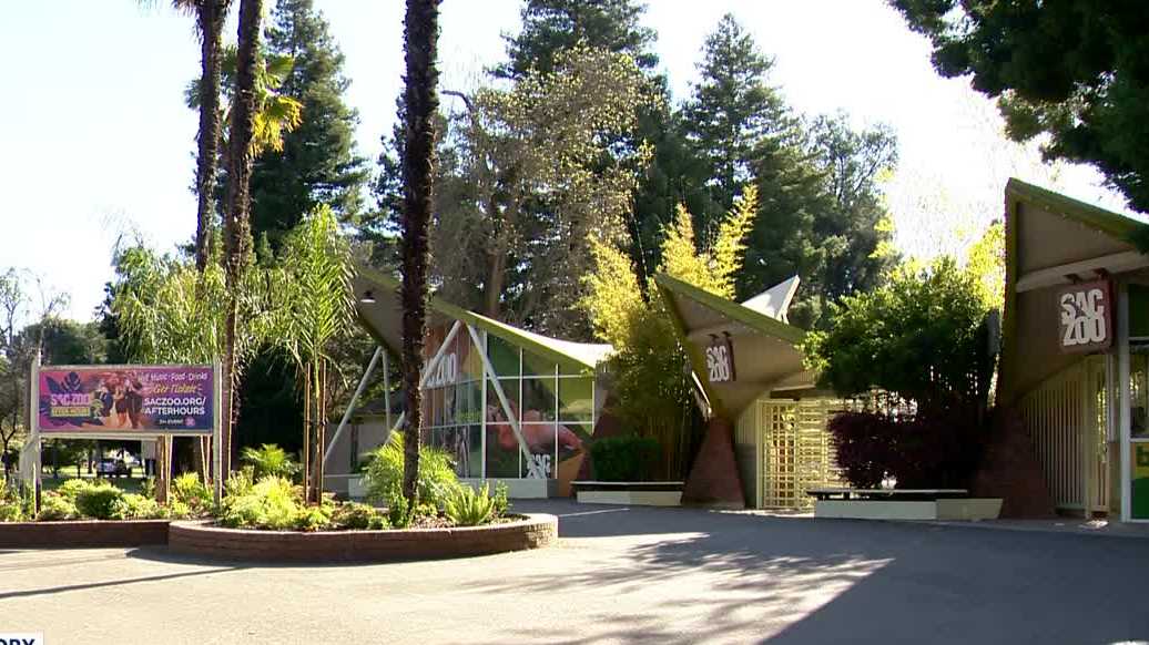 Sacramento Zoo set to discuss expansion plans with city council