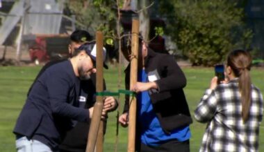 Arbor Week begins with tree planting in Sacramento's William Land Park