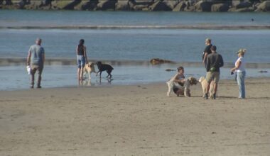 Sewage discharge causes San Diego County to close dog area in Ocean Beach