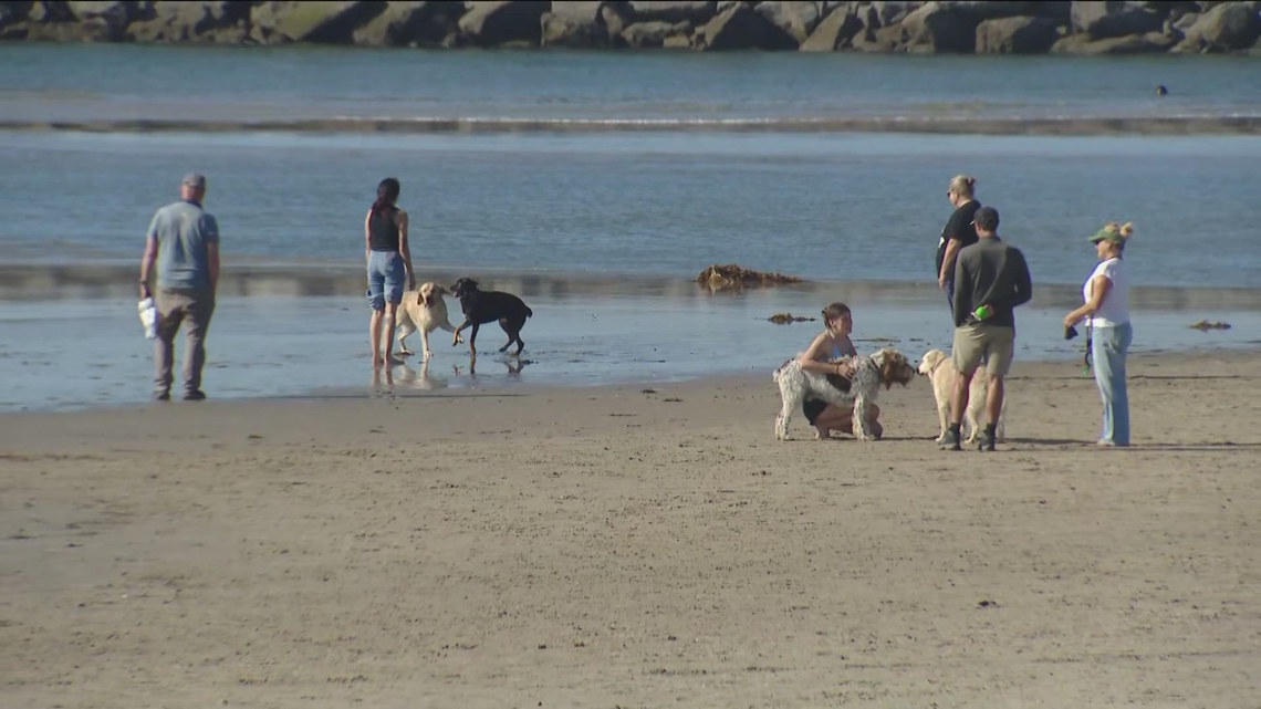 Sewage discharge causes San Diego County to close dog area in Ocean Beach